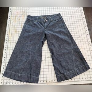 Level 99 Low Rise Gaucho jeans